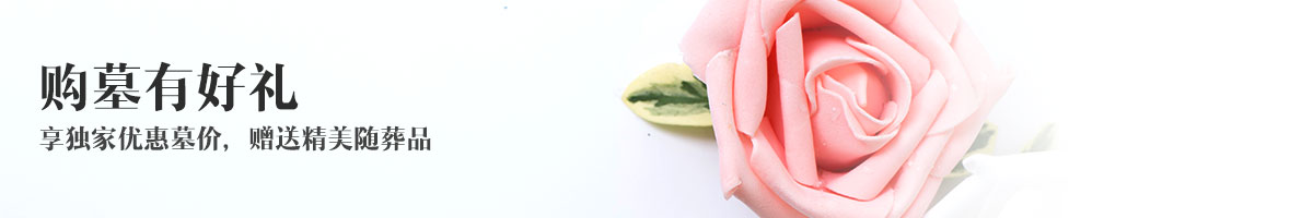 看墓班车免费接送