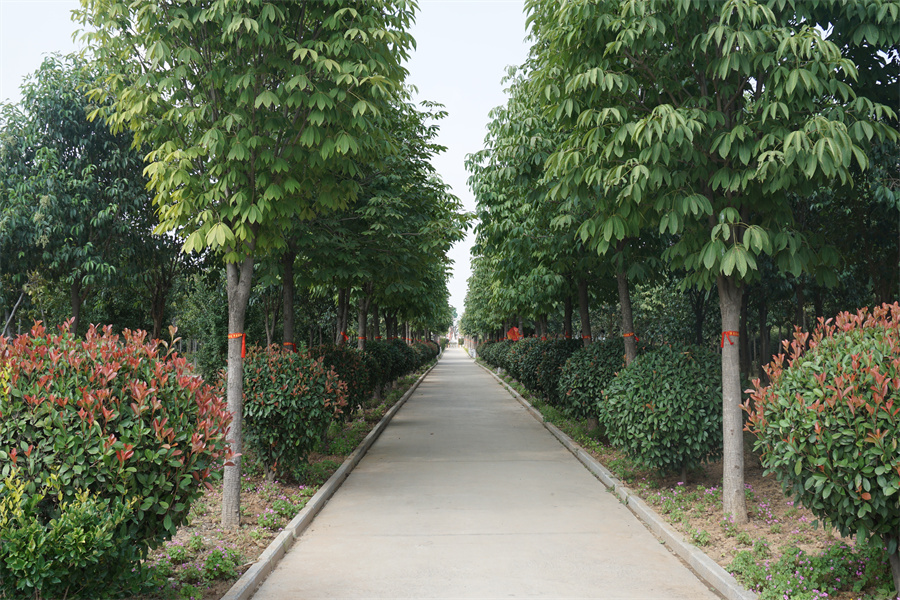 郑州市民公墓怎么样？-1