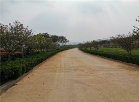 陵园主路