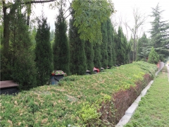 辉县万寿山公墓风水哪个方向好？