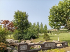 新乡龙凤公墓在哪里？坐几路车？