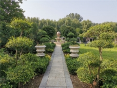 郑州市桃花峪邙山陵园地址在哪？