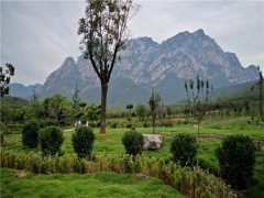 韩陵山公墓今天开放吗