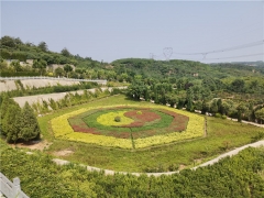 登封少林连天公墓价格多少钱一平