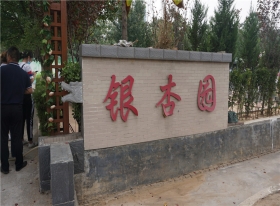 陵园银杏园墓区
