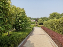 二七区墓地的价钱多少