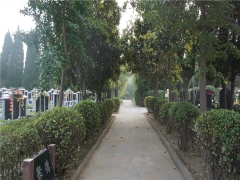 登封市嵩山公墓生态葬价格多少钱