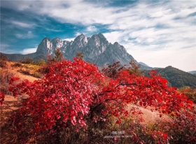 深秋陵园红叶景观