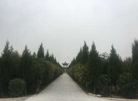 陵园主路