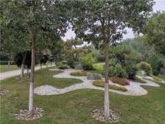 郑州云鹤陵园地址在哪？电话多少