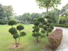 柘城县襄安陵公墓价格2025年有优惠吗？