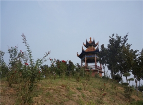 墓区环境