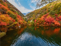 中牟县现在公墓一般多少钱？