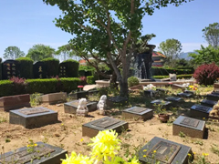 郑州生态葬有什么优势及流程