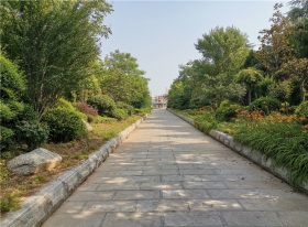 陵园主路两边绿化