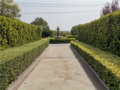 郑州市云鹤生态艺术陵园生态壁葬有吗价格多少