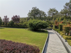 云鹤生态艺术陵园双穴立碑价格是多少