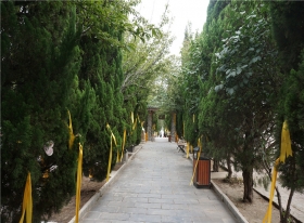 陵园主路