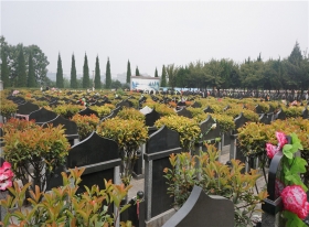 陵园墓区实拍