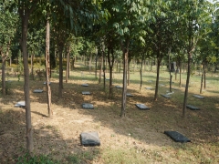 新乡龙居山陵园工作时间几点？