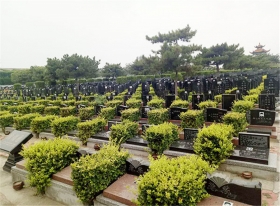 陵园环境