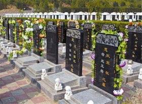 墓区环境