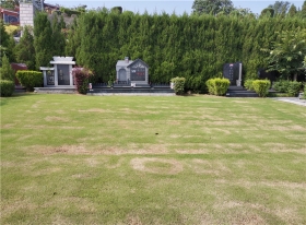 陵园环境