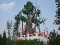 河南中原文化艺术陵园价格2025年最新多少钱？