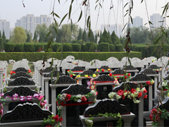 郑州那个墓地壁葬有双穴的吗