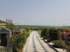 南阳市龙凤陵园价格2025年有优惠吗？