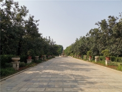 永城市塔陵园2025年元旦价格有促销活动吗?