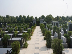 兰考县骨灰公墓价格2025年3月最新多少钱