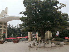 中原文化艺术陵园价格表最新2024