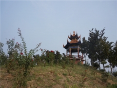 郑州市民公墓墓地价格及地址怎么样？