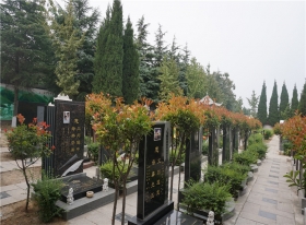 陵园墓区实拍